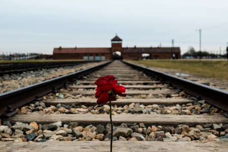 Pol, Auschwitz, Memorial photo