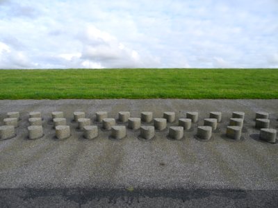 Norddeich, Germany, Gras