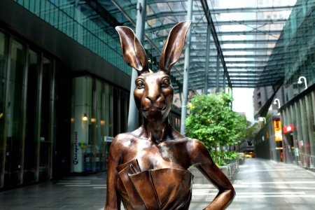 Melbourne, Australia, Hare