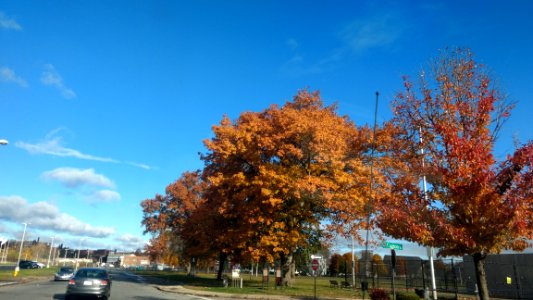 Crompton park, Worcester, United states