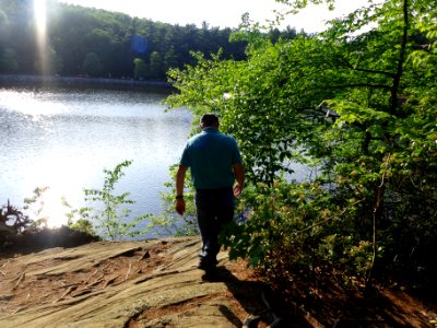 Walking, Water, Trees