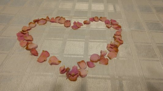 Heart, Rose petals, Romance