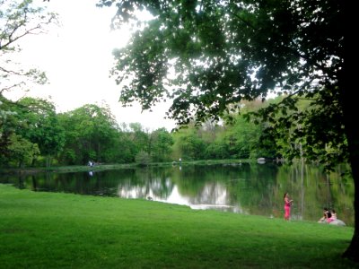 Naturaleza, Verano, Arboles
