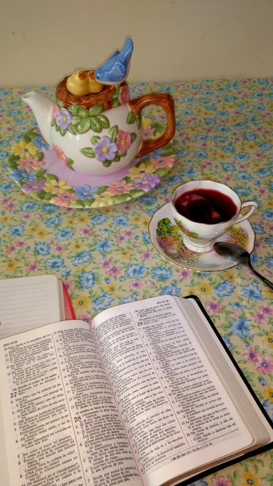 Christianismo,  christianity,  devotional time