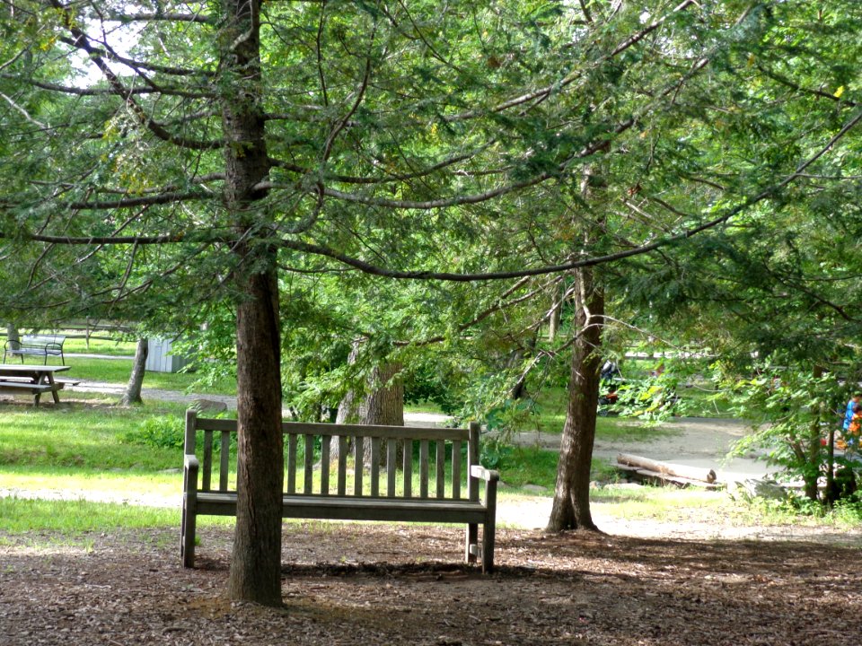 Worcester, United states, Asiento
