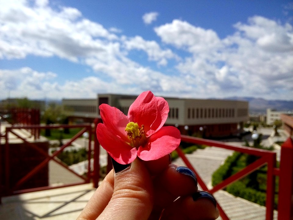 Zanjan, Institute for advanced studies, Basic sciences