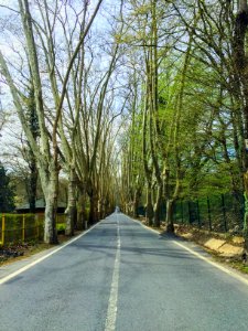 Belgrad forest, Baheky merkez mahallesi, Turkey