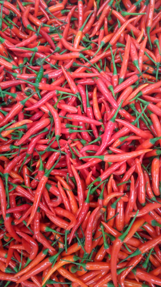 Spicy, Vegetable, Red