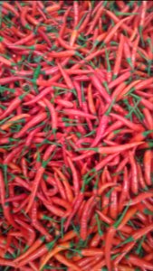 Spicy, Vegetable, Red photo