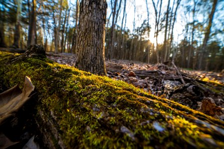 Long hunter state park, United states, Sunset