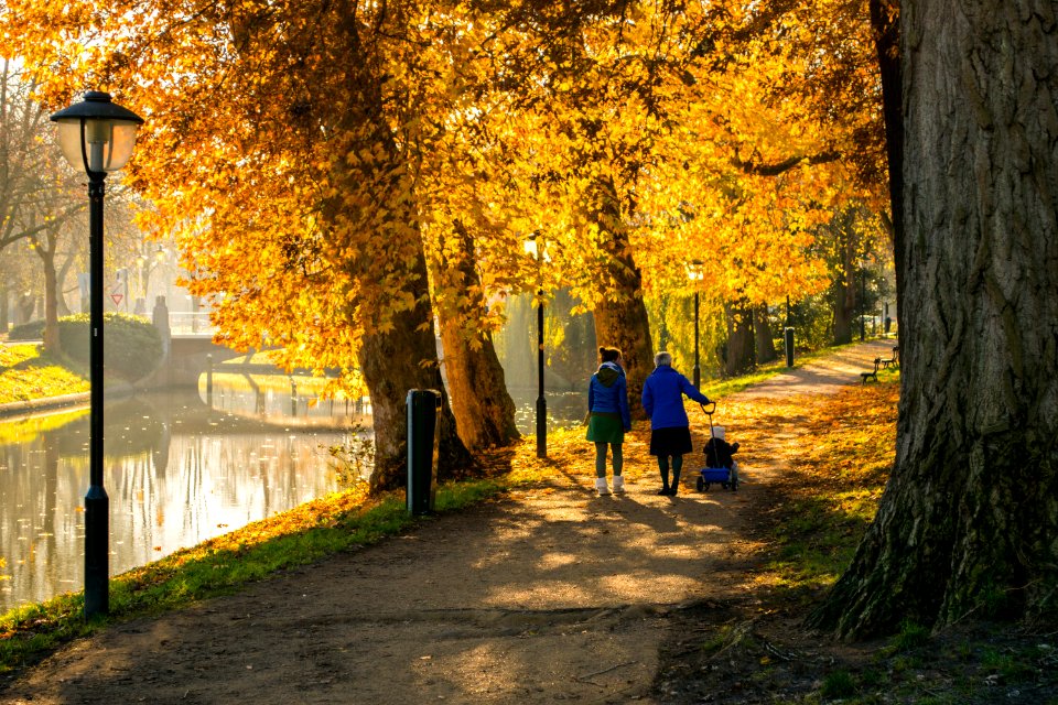 Utrecht, Netherl photo