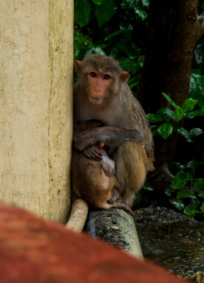 Mumbai, Sanjay g, Hi national park