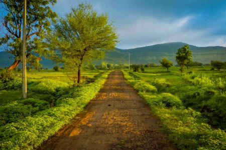 India, Satara, Greenstreet