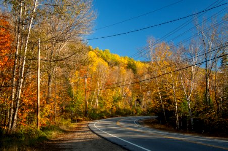 United states, White mountains, Lincoln