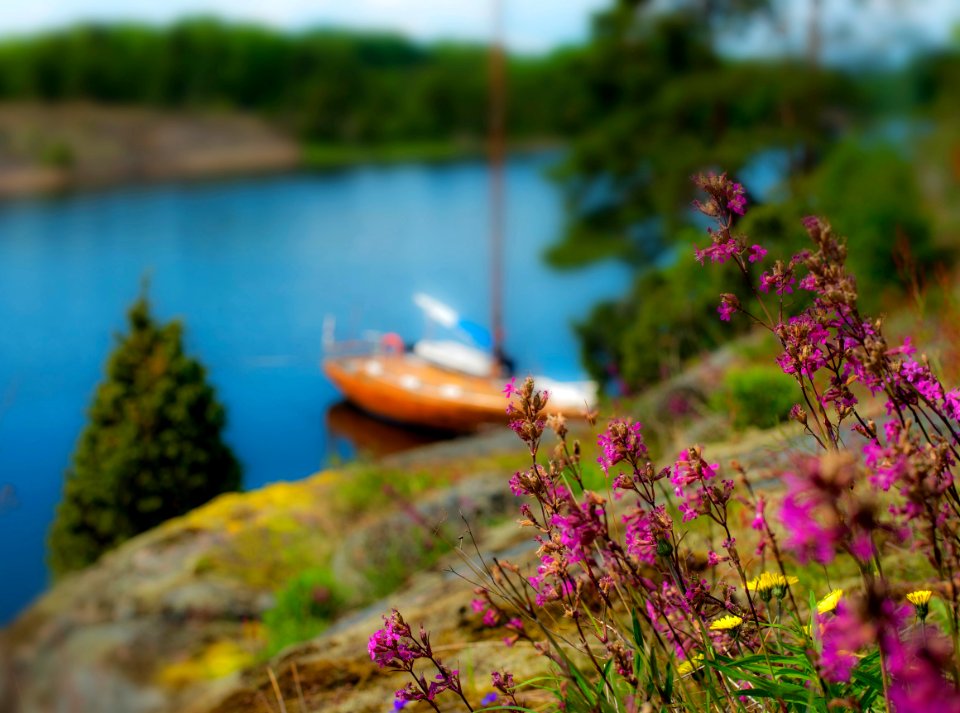 Lake river ocean sea beach coast Island, Yacht travel summer