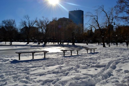 Boston, United states, Snow photo