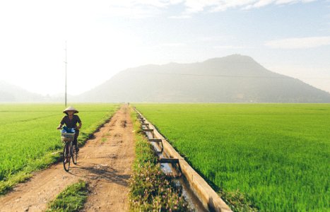 Nha trang, Vietnam, Road photo