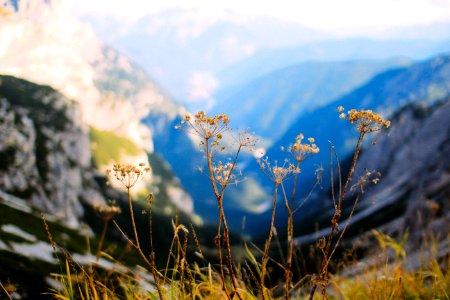 Italy, Tre cime di lavaredo, Auronzo di cadore