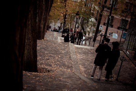 person walking on sidewalk surrounded by trees photo