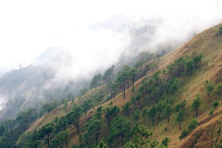Mount ulap, Tuba, Philippines