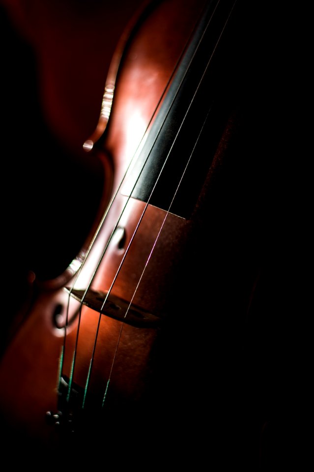 Atlanta, United states, Fiddle