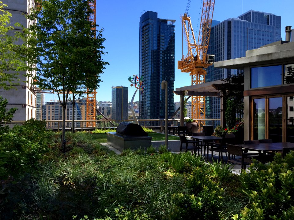 Downtown, Seattle, Washington