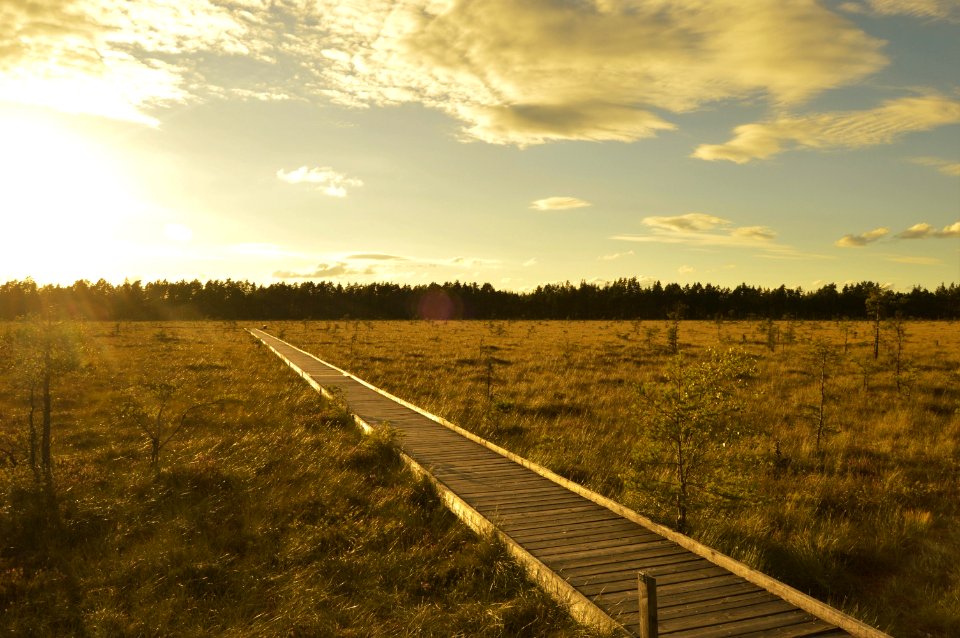 Sweden, Grass, Clouds