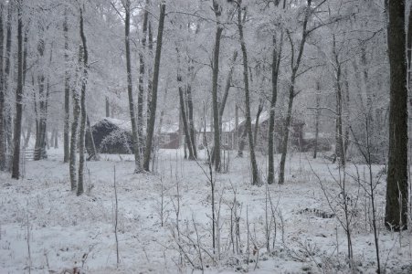 Sweden, Nature, House
