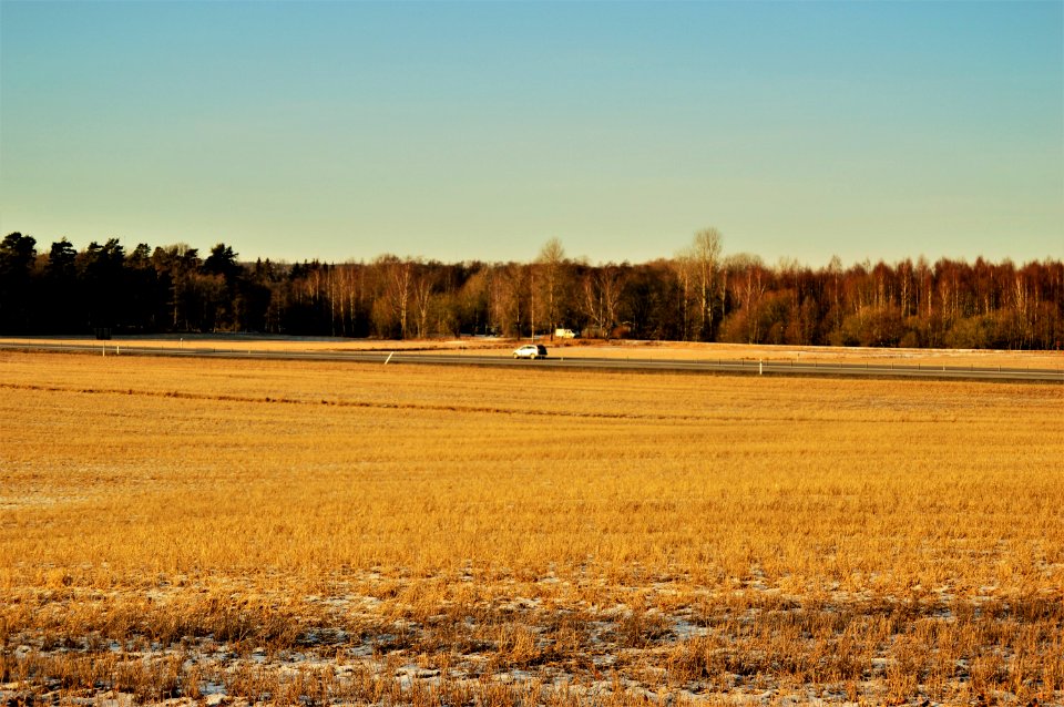 Sweden, Road, Nature