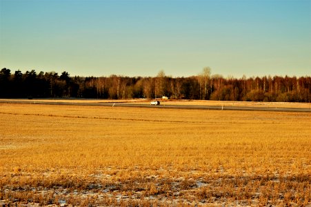 Sweden, Road, Nature photo