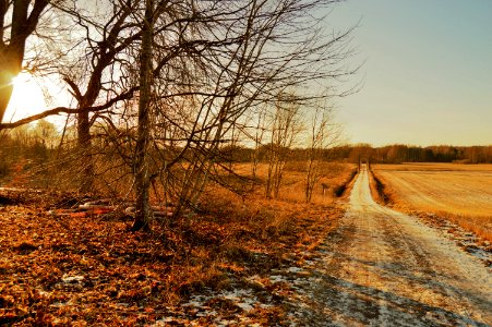 Sweden, Road, Nature photo