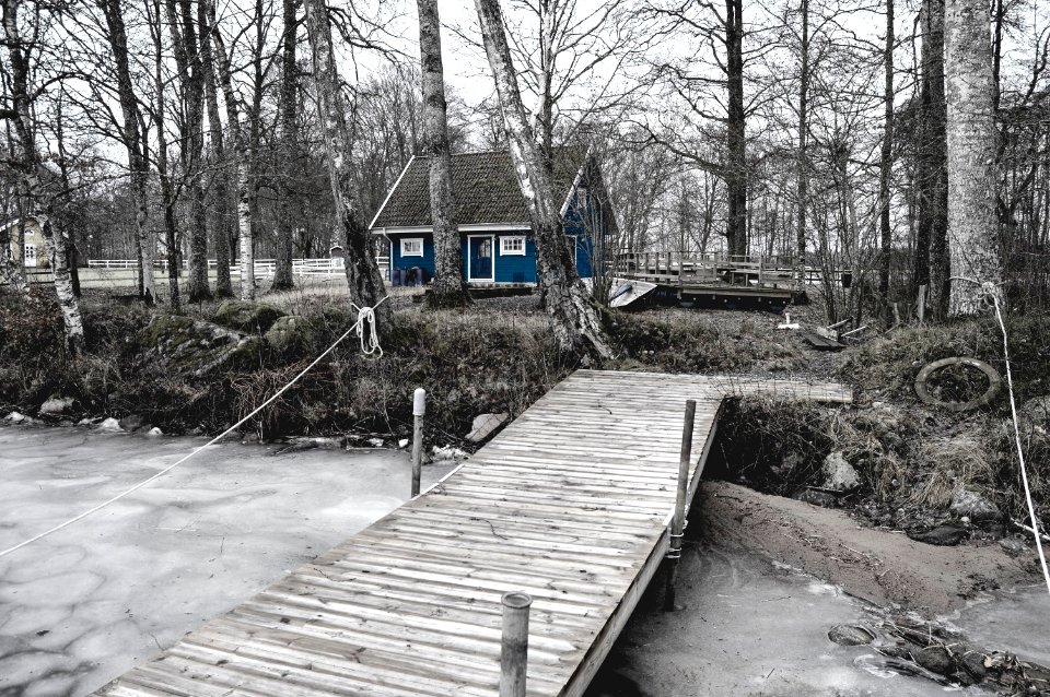 Sweden, House, Nature