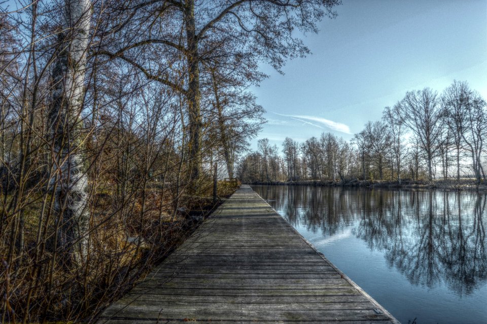 Sweden, Nature, Scape