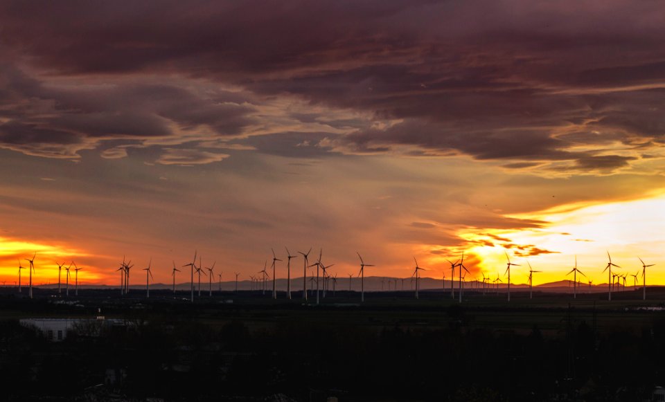 silhouette of wind turbines during sunset