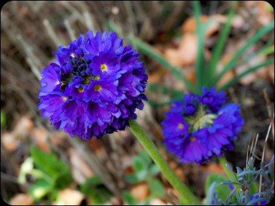 Wales, United kingdom, Macro