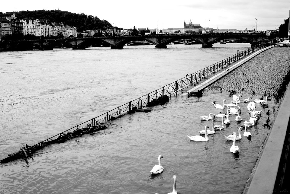 Prague, Czechia, Monochrome