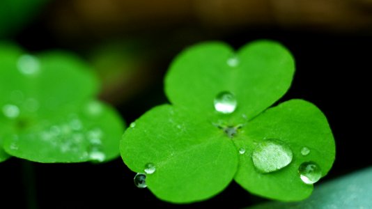 Taoyuan city, Taiwan, Rain drop photo