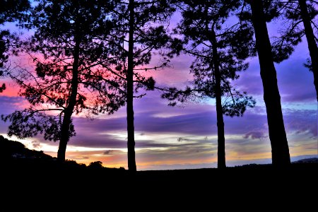 Cabanas, Spain, Purple