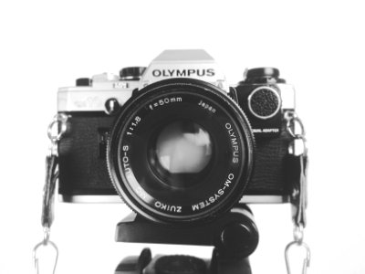 California, United states, Photography