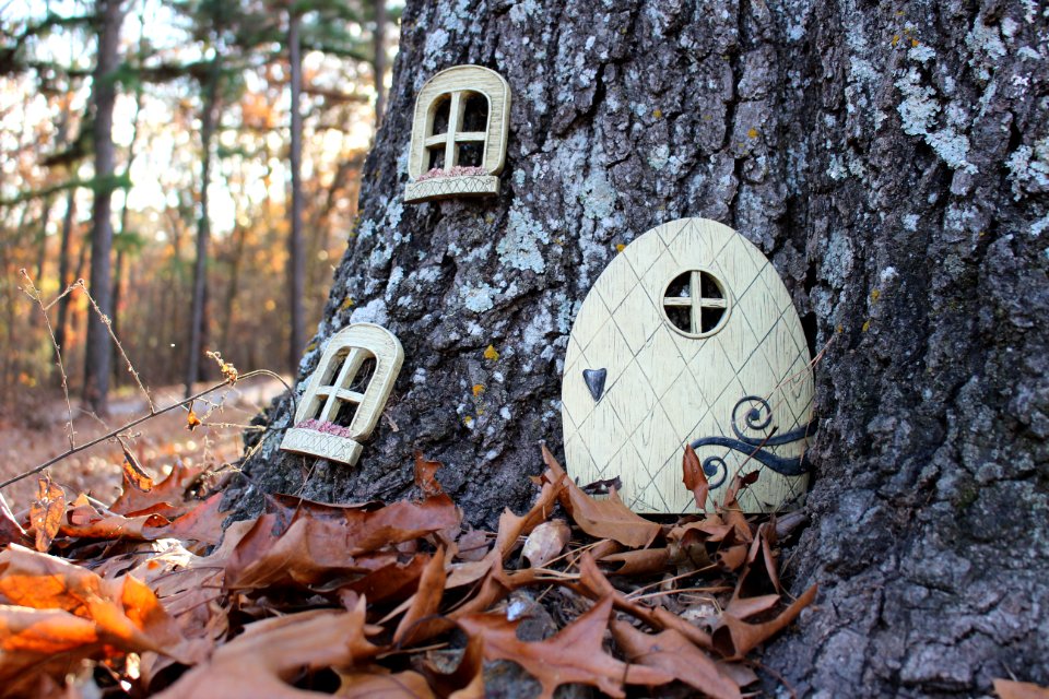 Nature, Outside, Fairy