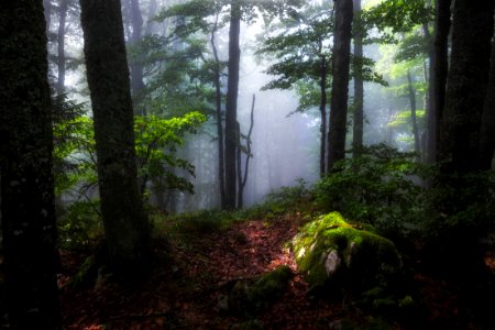Padi, Romania, Mountain