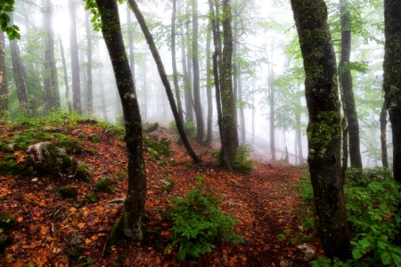 Romania, Padi, Mountain