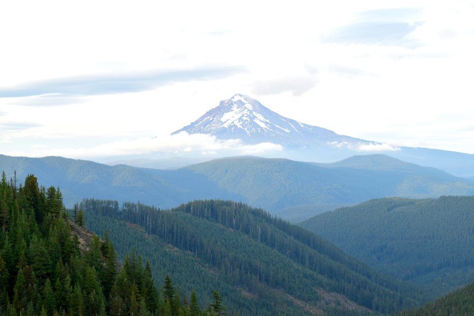 In Portland, United states