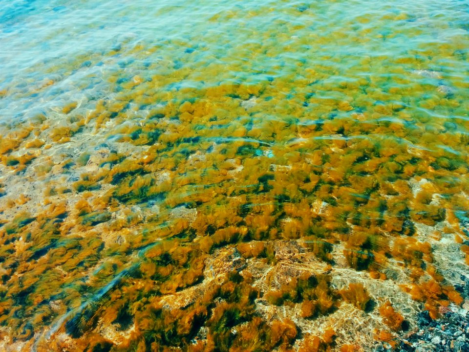 Armenia, Lake