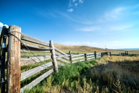 Colorado, United states, Grass