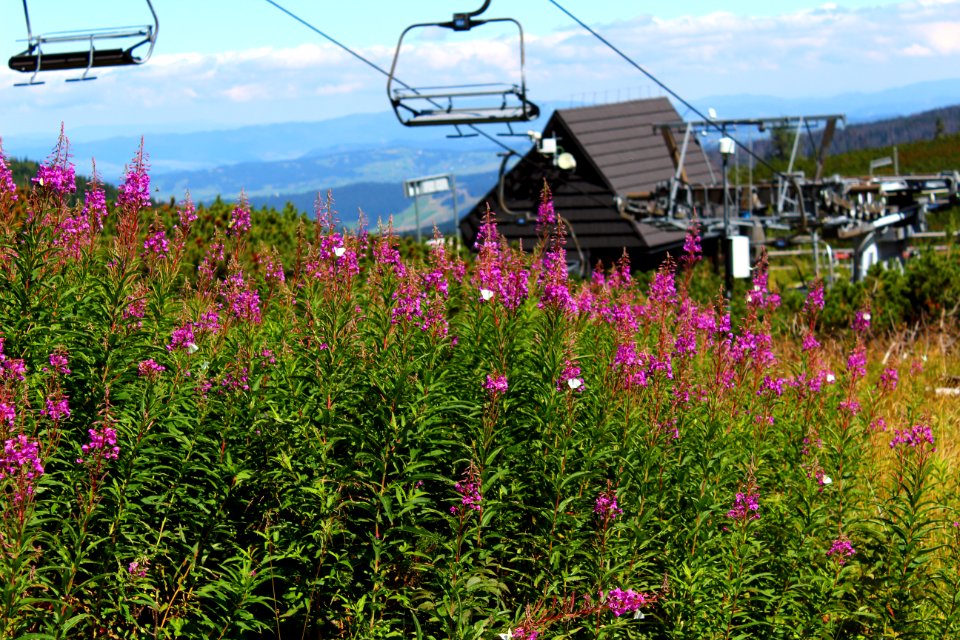 Western tatras, Jamnk, Slovakia