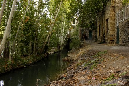Baghbahadoran, Iran, Summer