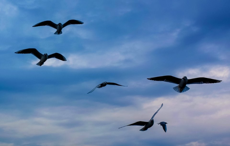 Istanbul, Turkey, Sky photo