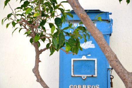Cuba, Havana, Nature