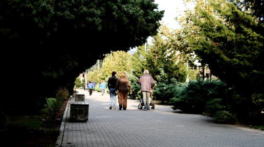 Baia mare, Romania, Community